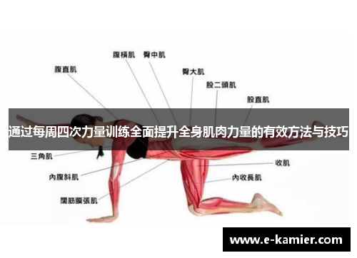 通过每周四次力量训练全面提升全身肌肉力量的有效方法与技巧