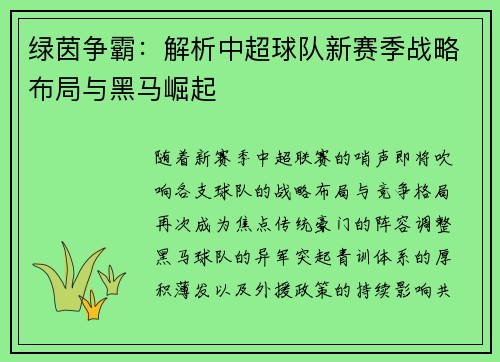 绿茵争霸：解析中超球队新赛季战略布局与黑马崛起