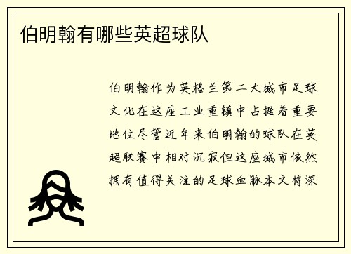 伯明翰有哪些英超球队