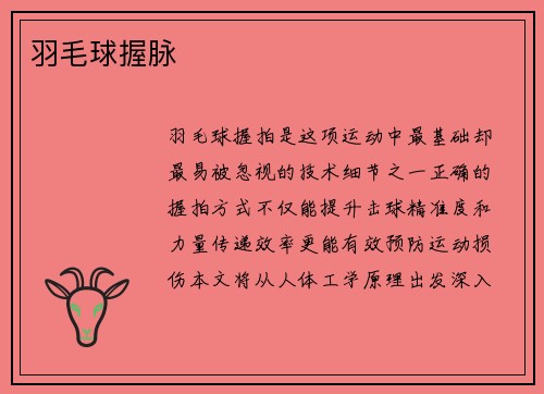 羽毛球握脉